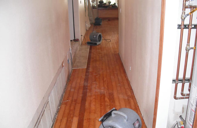 Wooden Floor Mold Remediation