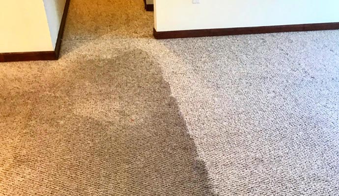 Visible dirt on carpet