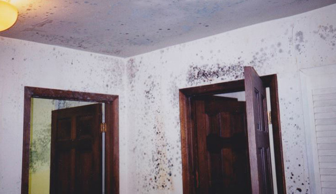 room with mold dmaged wall and ceiling