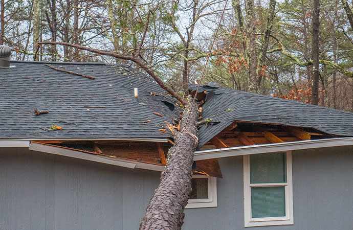 Fallen tree on a house.