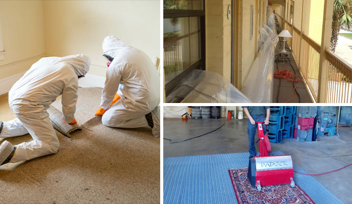 professional biohazard cleanup, commercial space estoration and rug cleaning