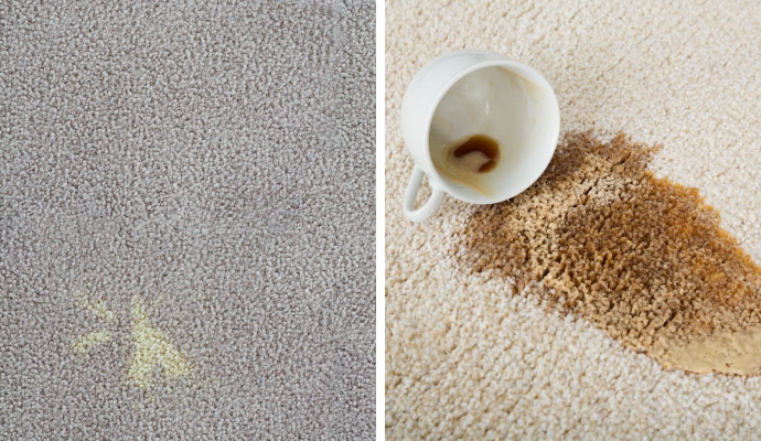 collage of bleach and coffee spot on the carpet