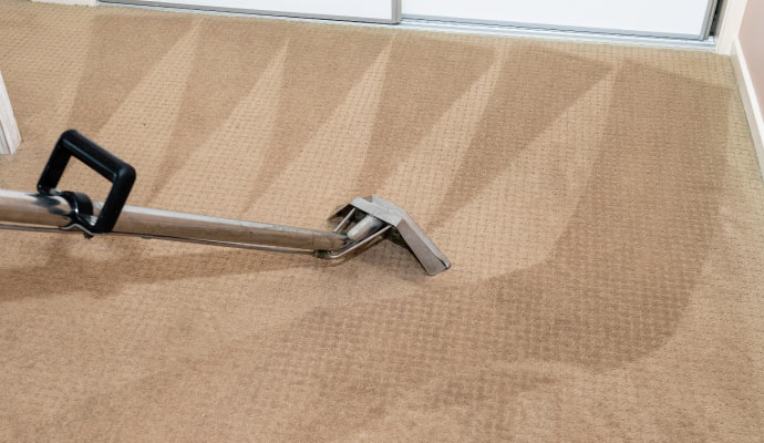 A close-up view of a carpet cleaning with carpet cleaning machine