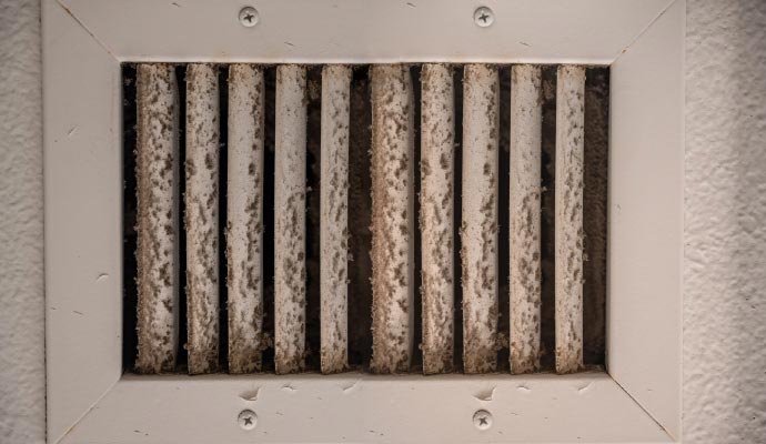 HVAC system air vent with mold growth HVAC system air vent contaminated with mold and dust