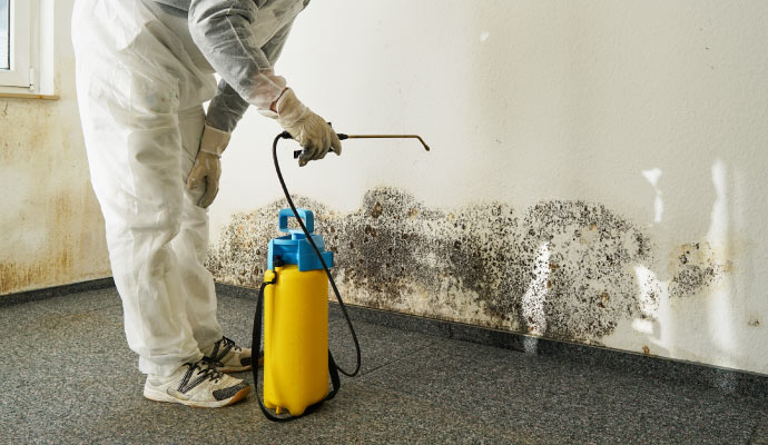 professional worker removing mold from the wall