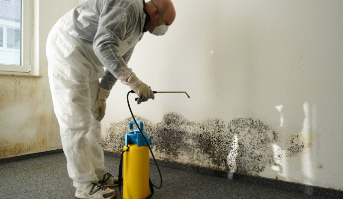 Mold remediation