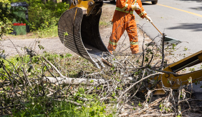 A person is cleaning a tree from the road with equipment